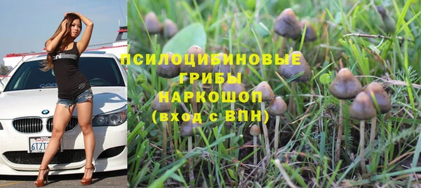 экстази Баксан