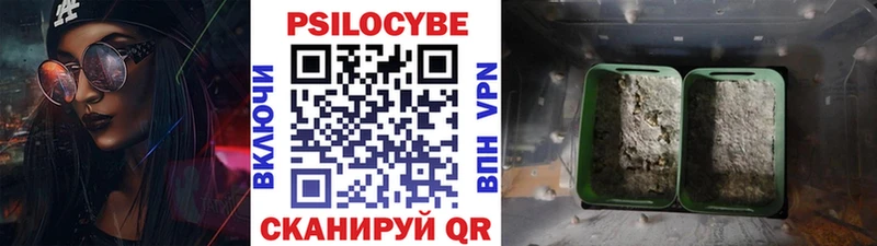 OMG   купить   Североморск  Галлюциногенные грибы мухоморы 